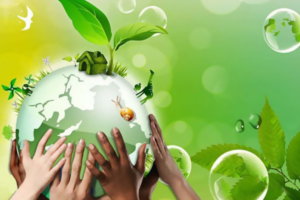 Sustainability Education: Fostering Environmental Consciousness