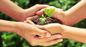 Sustainability Education: Fostering Environmental Consciousness